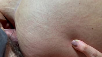 Play with my ass free version