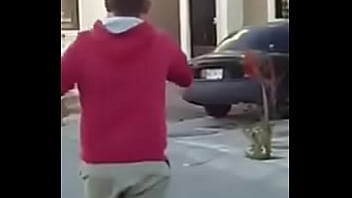 Gordito cae al piso de placer