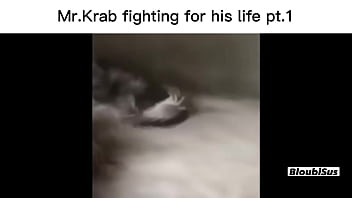 Top 5 scare sus videos