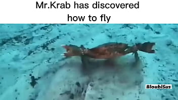 Top 5 scare sus videos