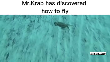 Top 5 scare sus videos