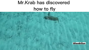 Top 5 scare sus videos