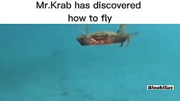 Top 5 scare sus videos Top 5 scare sus videos