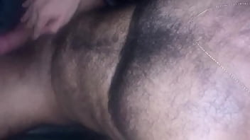 Safado Peludo Urso thumbnail