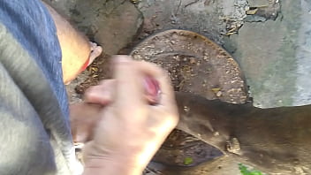 Livre Nouin thumbnail