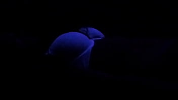 Young slut gets fucked under black light