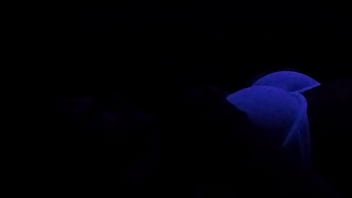 Young slut gets fucked under black light