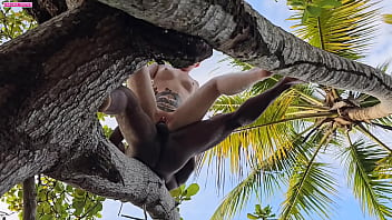 Meu amante fode minha bunda encima de uma arvore alta