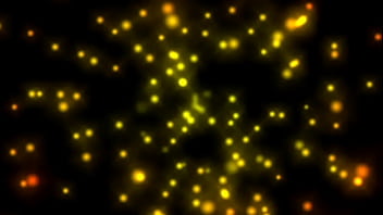 Wanted female sex slaves