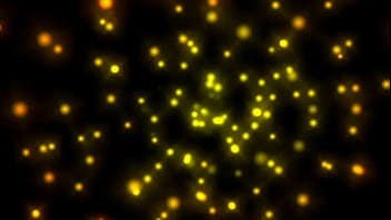 Wanted female sex slaves