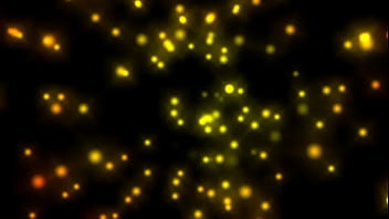 Wanted female sex slaves