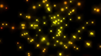 Wanted female sex slaves