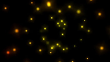 Wanted female sex slaves