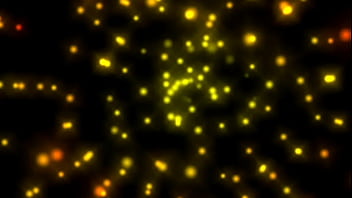 Wanted female sex slaves