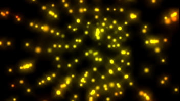 Wanted female sex slaves