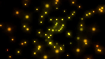 Wanted female sex slaves