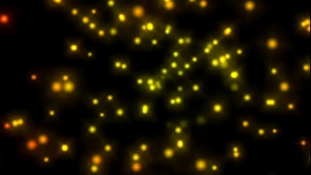 Wanted female sex slaves