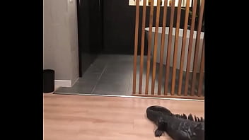 Preparando lo que hay que prepararrrrr