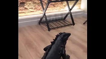 Preparando lo que hay que prepararrrrr