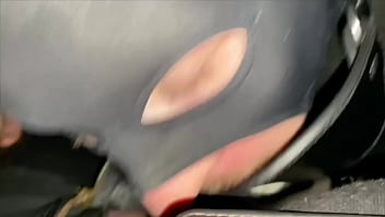 Blastraining Einer Sau thumbnail