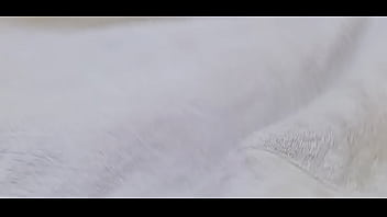 Gostosa safafa latina