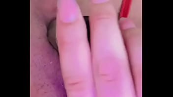 Nueva amiga chihuahua