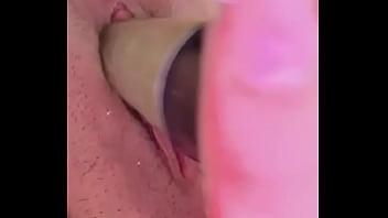 Nueva amiga chihuahua