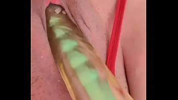 Nueva amiga chihuahua