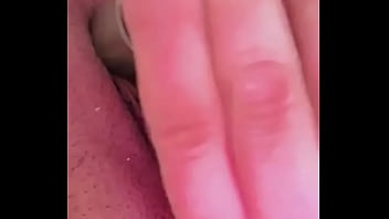 Nueva amiga chihuahua