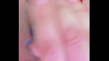 Nueva amiga chihuahua