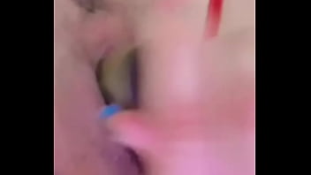 Nueva amiga chihuahua