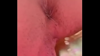 Nueva amiga chihuahua