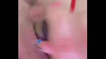 Nueva amiga chihuahua