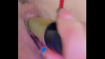 Nueva amiga chihuahua