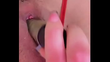 Nueva amiga chihuahua