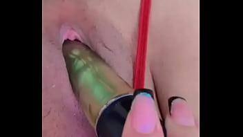 Nueva amiga chihuahua