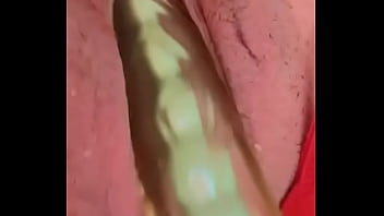 Nueva amiga chihuahua