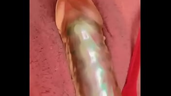 Nueva amiga chihuahua