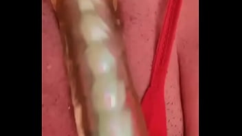 Nueva amiga chihuahua