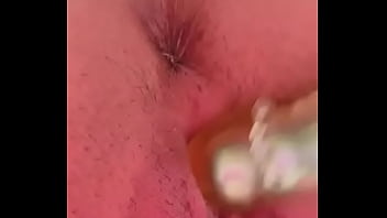 Nueva amiga chihuahua