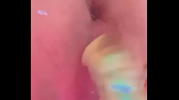 Nueva amiga chihuahua