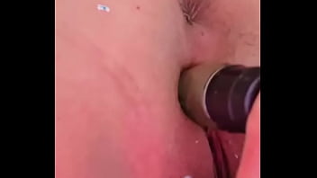 Nueva amiga chihuahua