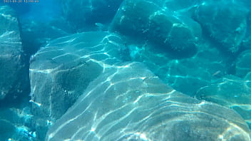 Fish eating cum under water in the sea