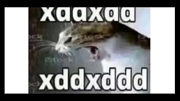 Se loko as mina tentaram entrar com tudo