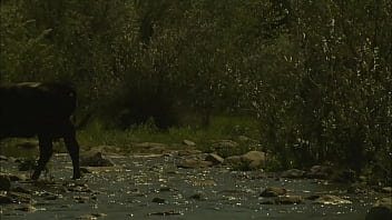 Next you'll see him licking her bubble butt until he gives her a pearl necklace cumshot