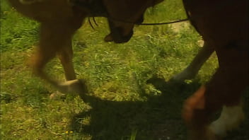 Next you'll see him licking her bubble butt until he gives her a pearl necklace cumshot