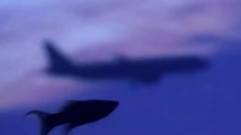 Jennieblackpinkbestgg