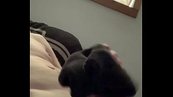 Infamous1182 Update #4 Img 0929 Dec 16 2023 thumbnail