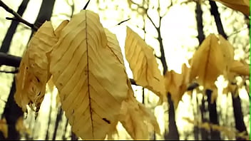 Juju balls wit cory clock