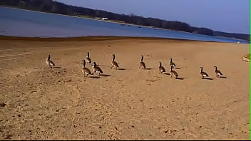 Juju Balls Wit Cory Clock thumbnail